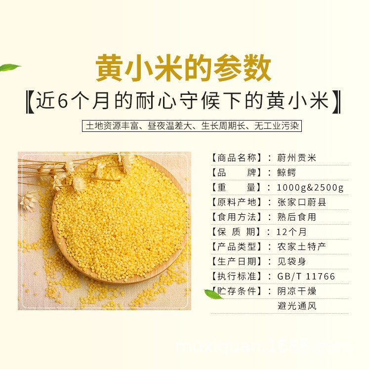 【原产地直发】蔚县小米黄小米新米小米食用农家五谷杂粮糯食2斤图3