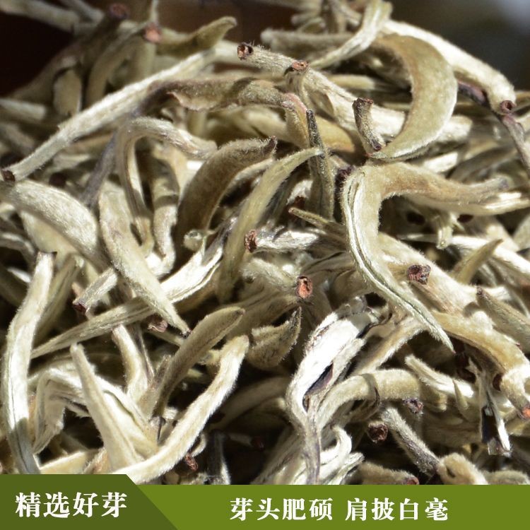 云南普洱茶批发2021年新茶单芽白茶 景谷大白毫 大白芽散装500g图2