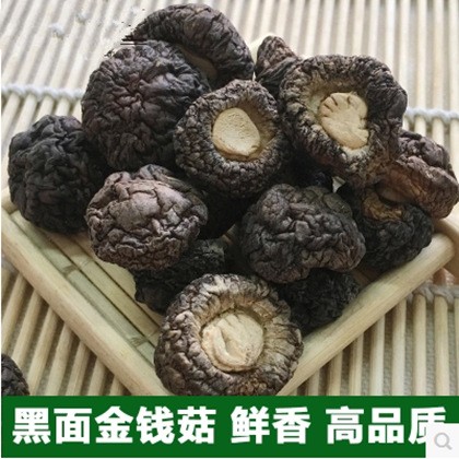 小香菇建古田特产干货肉厚珍珠菇黑面香菇金钱菇蘑菇冬菇500g图3