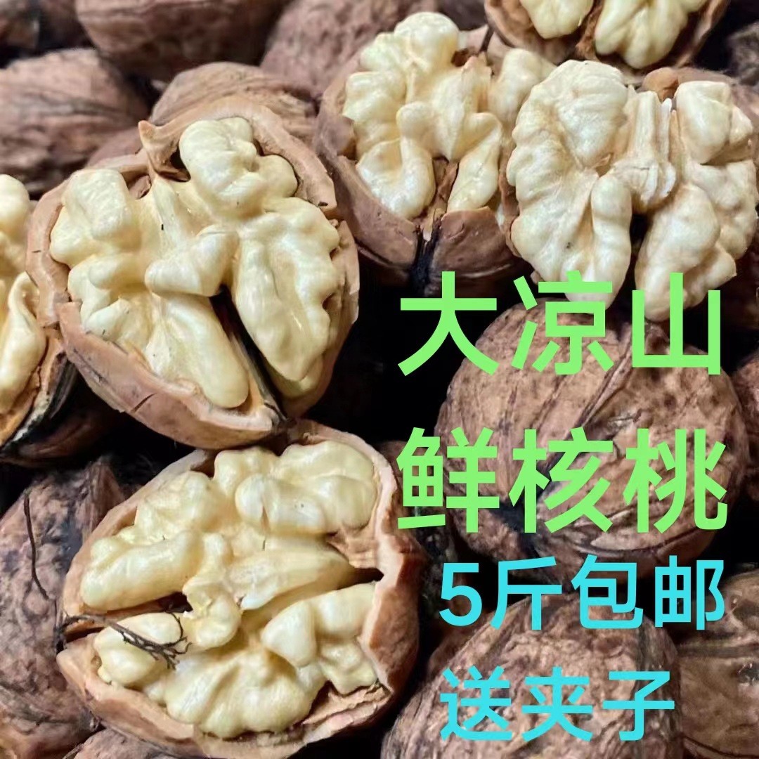 鲜核桃5斤包邮送夹子大凉山高山人工去青皮老树鲜核桃图2