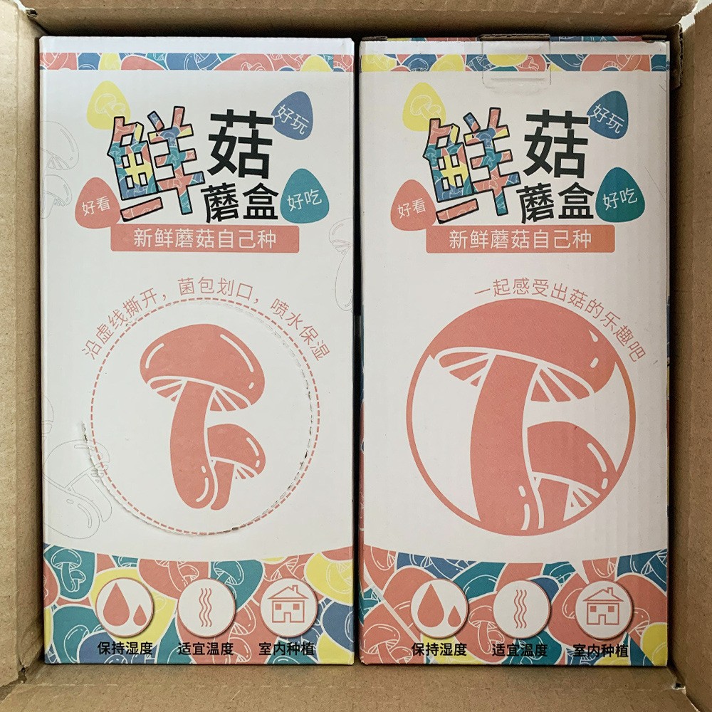 蘑菇种植菌包盒平菇菌种食用菌家庭幼儿园儿童礼品DIY蘑菇种植盒图4