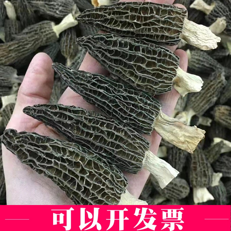 云南特产羊肚菌新鲜剪柄食用蘑菇干货包装大量批发头茬一公斤批发图3