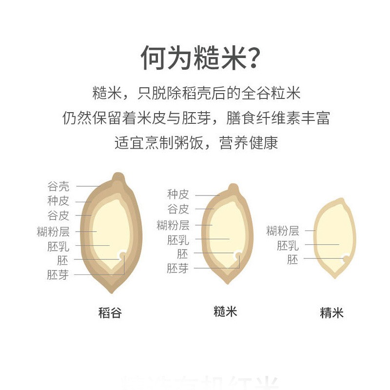 长粒红米五谷杂粮东北红糙米红粳米农家新红米厂家批发定制500g图4