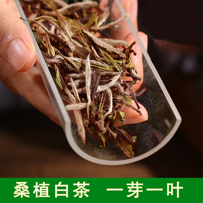 桑植白茶一芽一叶2021年产陈年白茶张家界特产散装茶叶批发500g图2