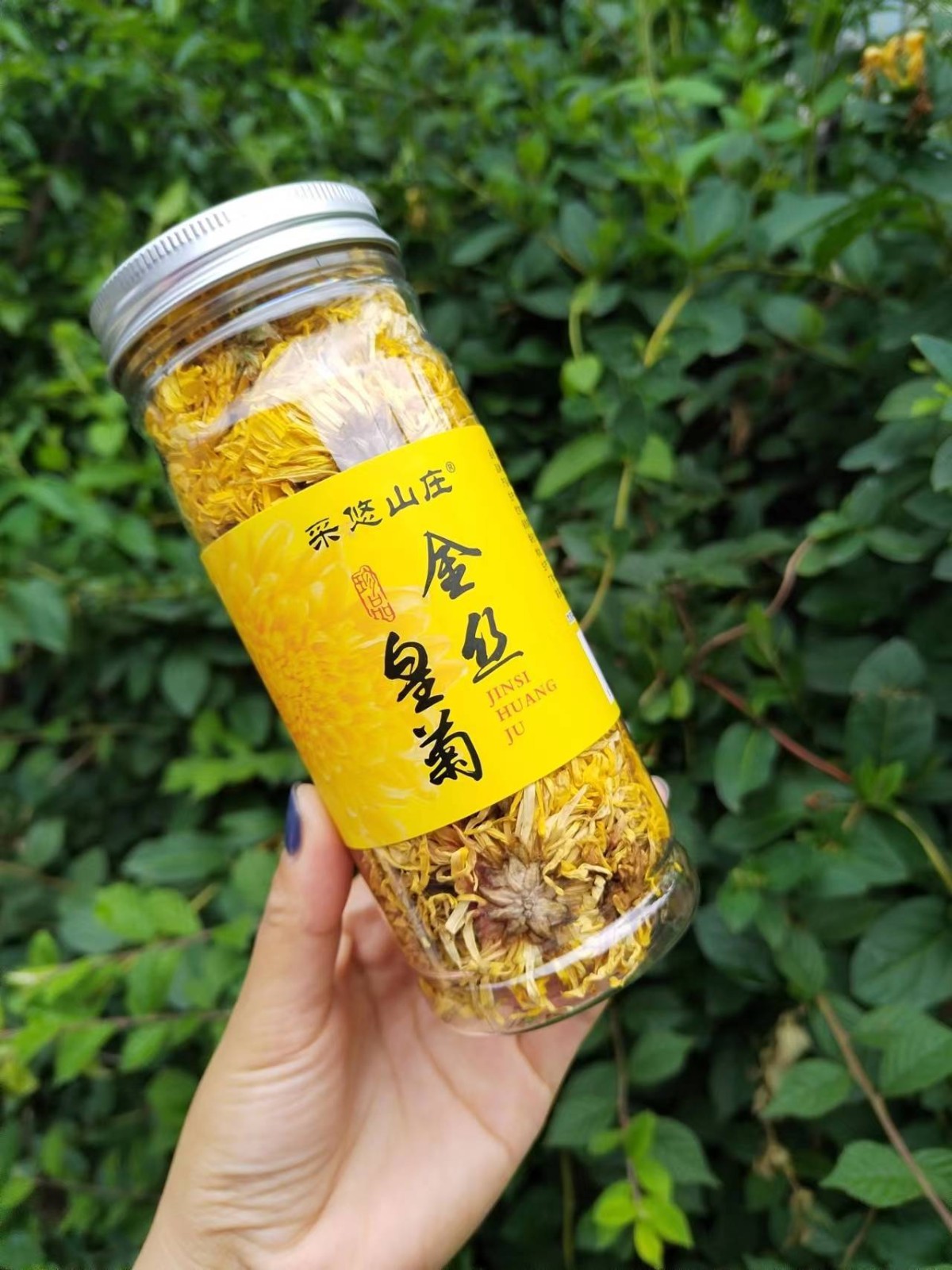 【高性价比】黄山金丝皇菊罐装20g批发代发 大朵菊花茶抖音快手图2