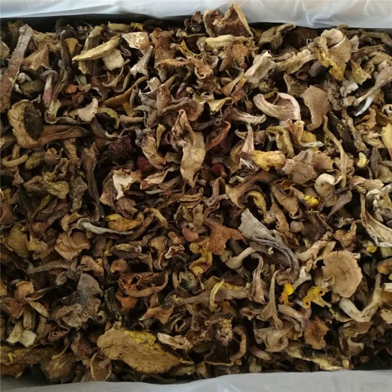 云南特产自然生长菌牛肝菌汤料火锅底料熬汤菌包批发黄牛肝菌干货图3