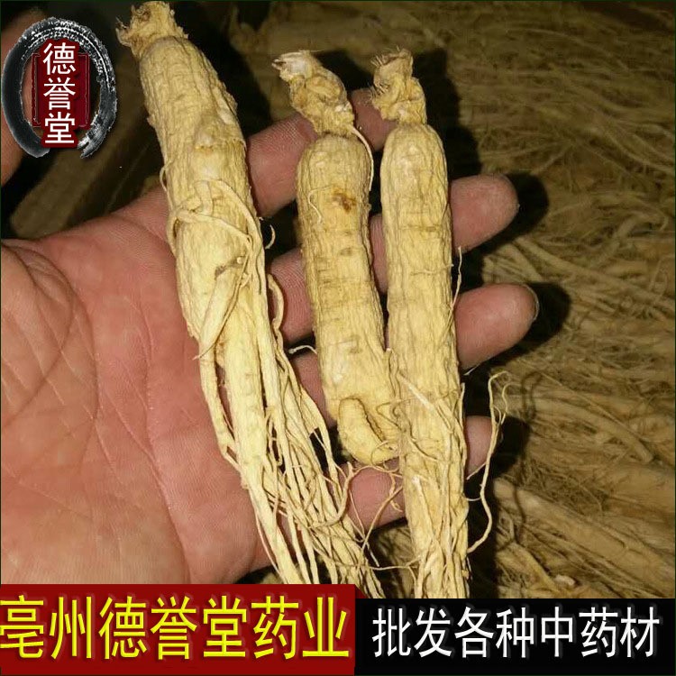 长白山人参东北生晒参全须白参德誉堂药业批发各种中药材量大从优图2