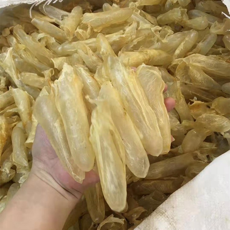 100头咸水胶筒 黄花胶 诚招代理 咸水黄花胶筒 食用食材代发图3