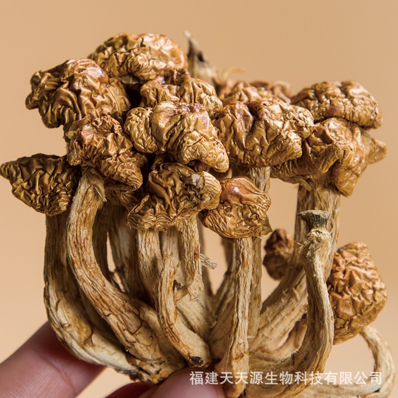 天天源 礼盒装滑子菇80g 古田特产滑子蘑滑菇干货原产地直批图2