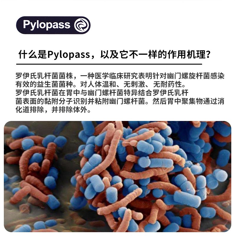 益生菌粉 Pylopass罗伊氏乳杆菌调理幽门螺旋杆肠胃冻干一件代发图3