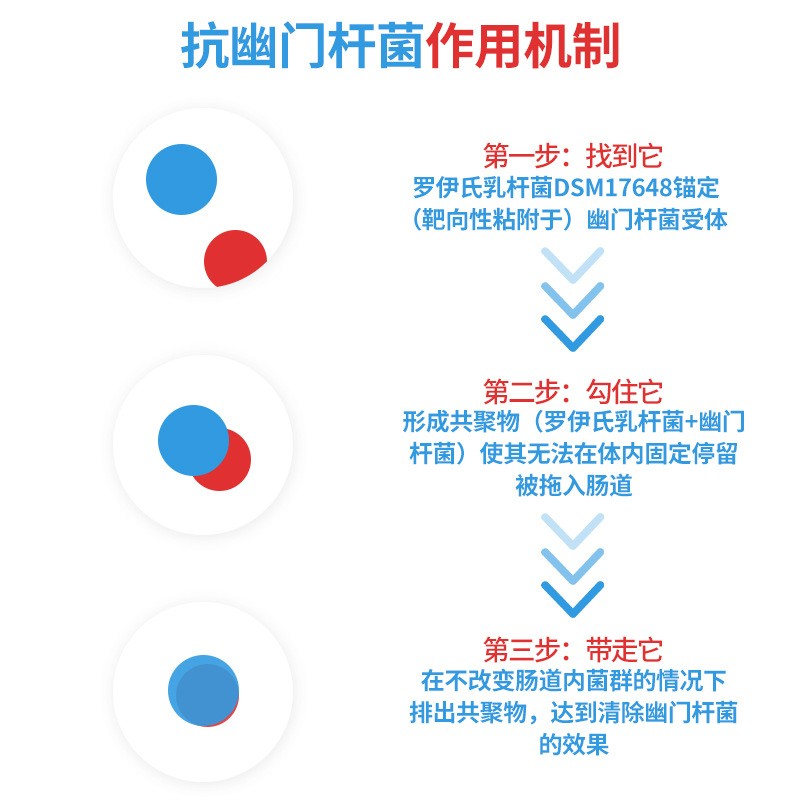 益生菌粉 Pylopass罗伊氏乳杆菌调理幽门螺旋杆肠胃冻干一件代发图4