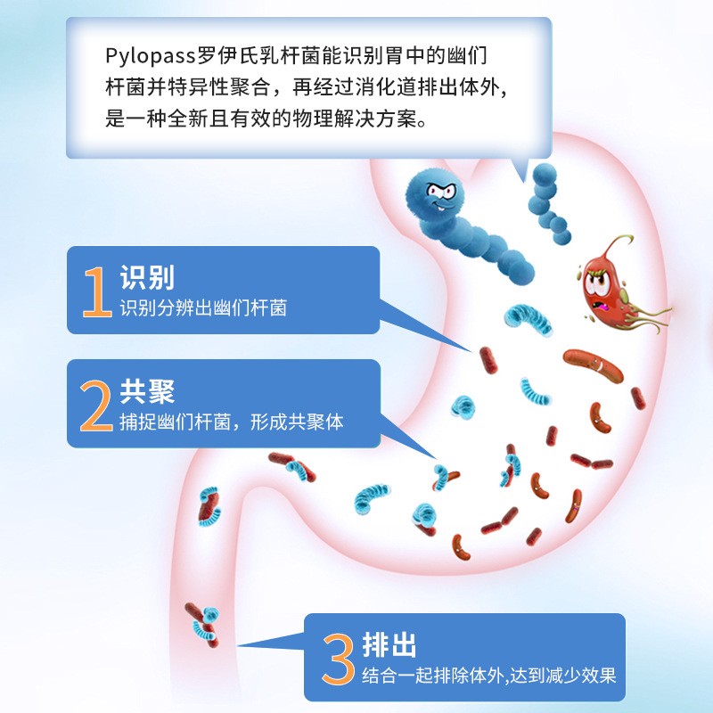 Pylopass益生菌粉 罗伊氏乳杆菌岩藻多糖调理幽门螺旋杆肠胃代发图4