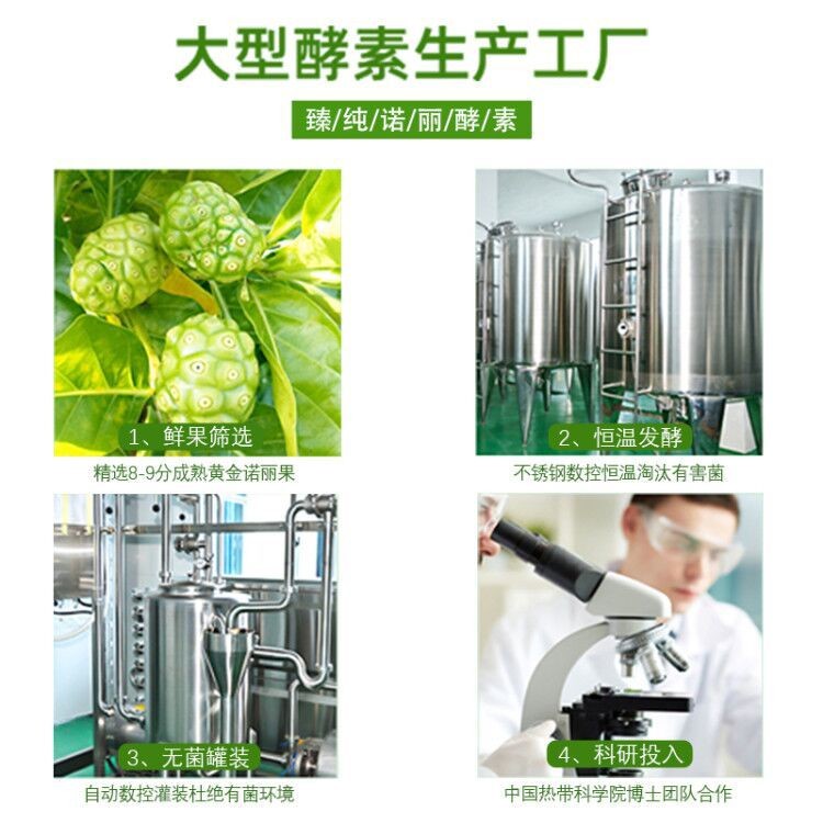 海南懿然诺丽果酵素汁诺丽果发酵液诺丽果浆原料批发植物饮品代发图4