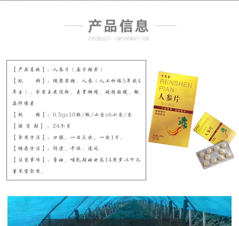 批发长白山 人参片代加工口服人参压片糖果60粒/盒支持一件代发图2