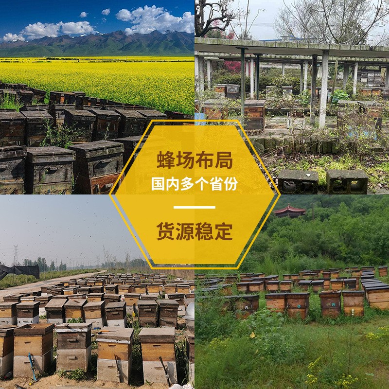 农家蜂场自产蒙城蜂蜜500g瓶装百花蜜原蜜液态厂家批发图3