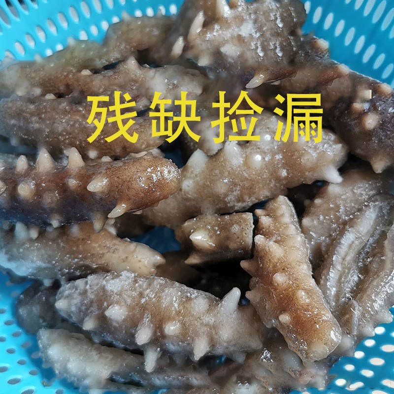 辽渤湾大连海参即食海参刺参批发残缺断块酒店辽参非干货图3